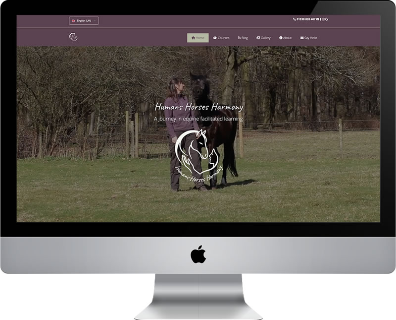 Humans Horses Harmony