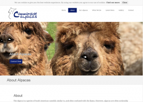 Commonside Alpacas